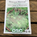 OSC Seeds Mesclun Mixture 'Spicy Italian'  Seeds