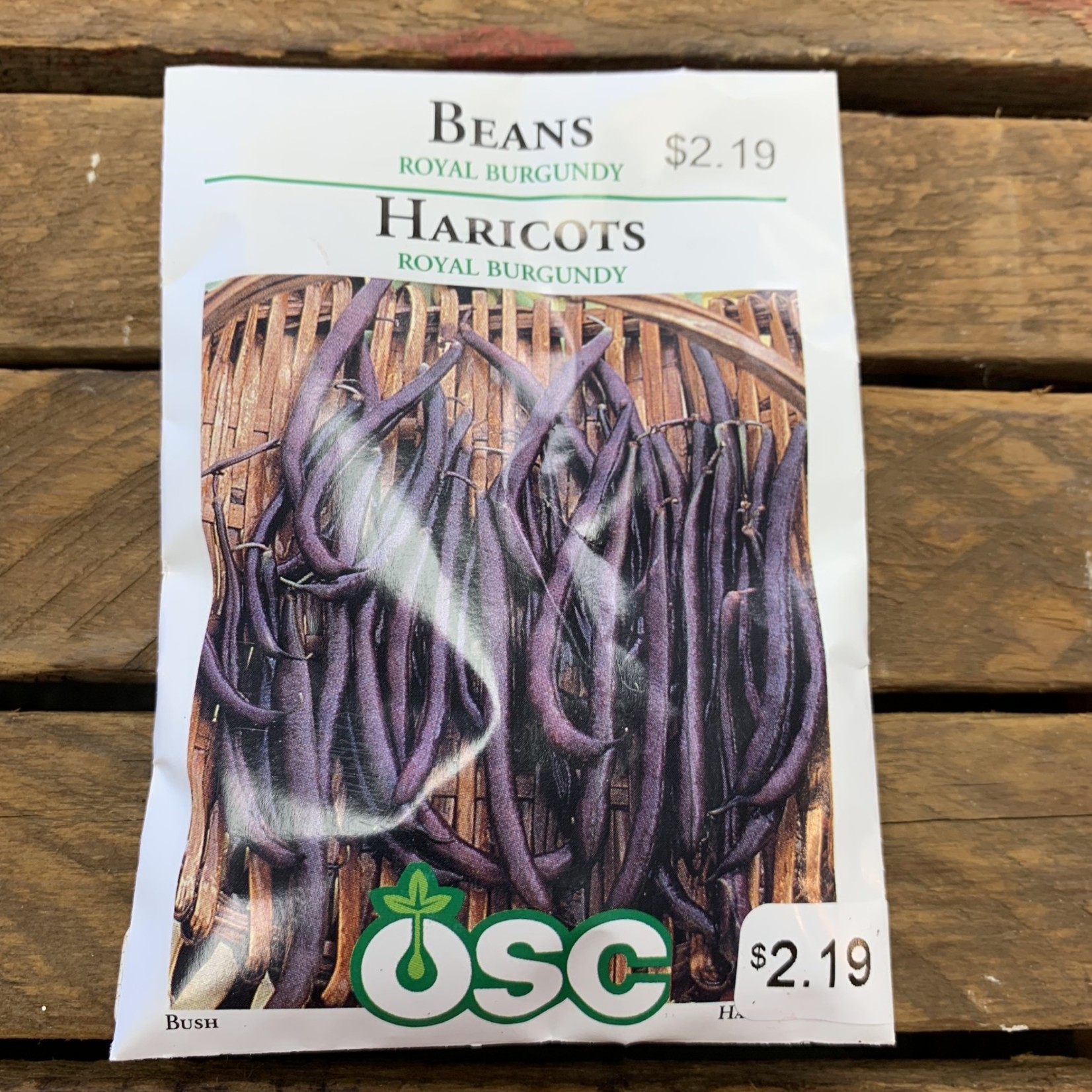 OSC Seeds Beans 'Royal Burgandy' Seeds