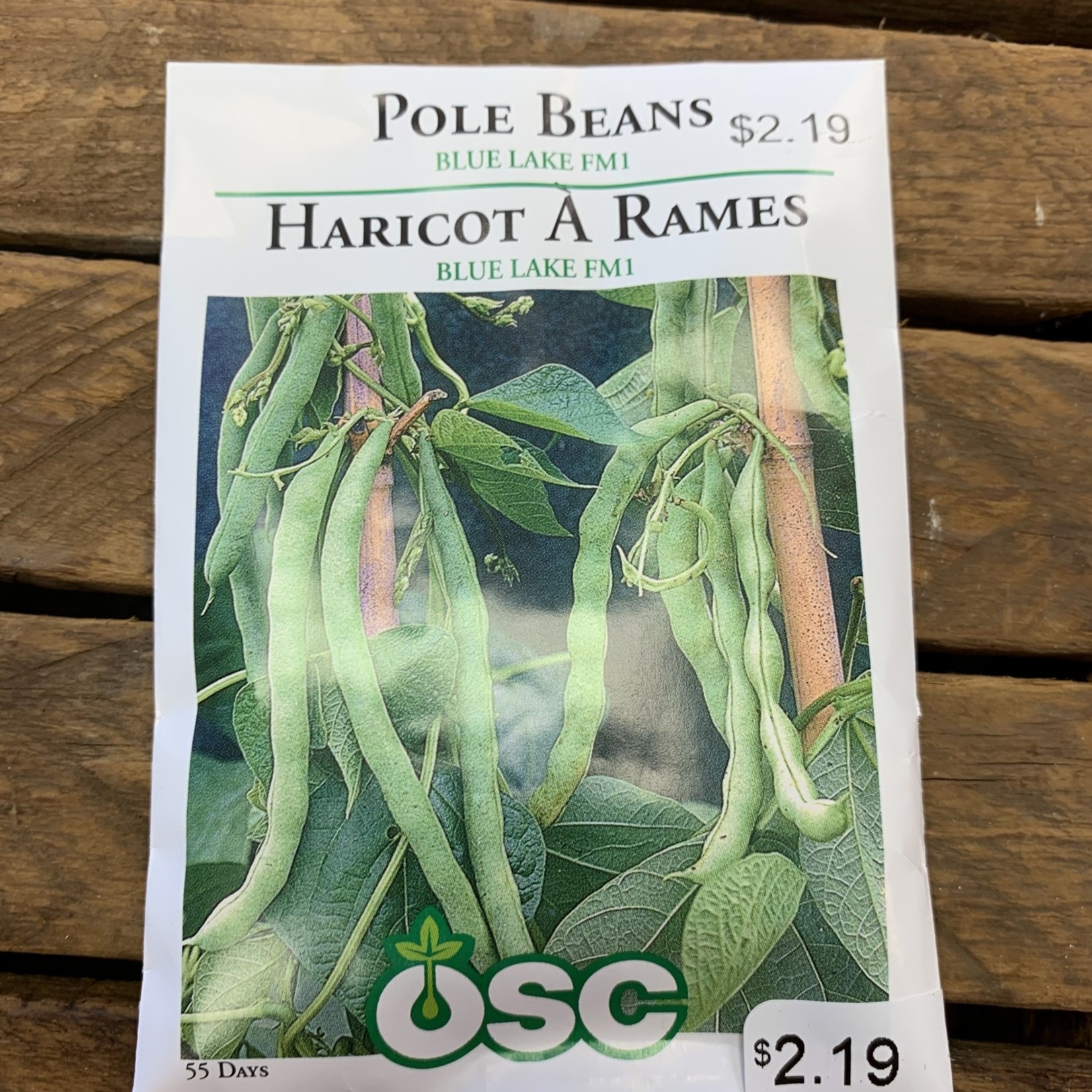 OSC Seeds Pole Beans 'Blue Lake FM1' Seeds