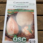 OSC Seeds Cantaloupe 'Delicious 51' Seeds