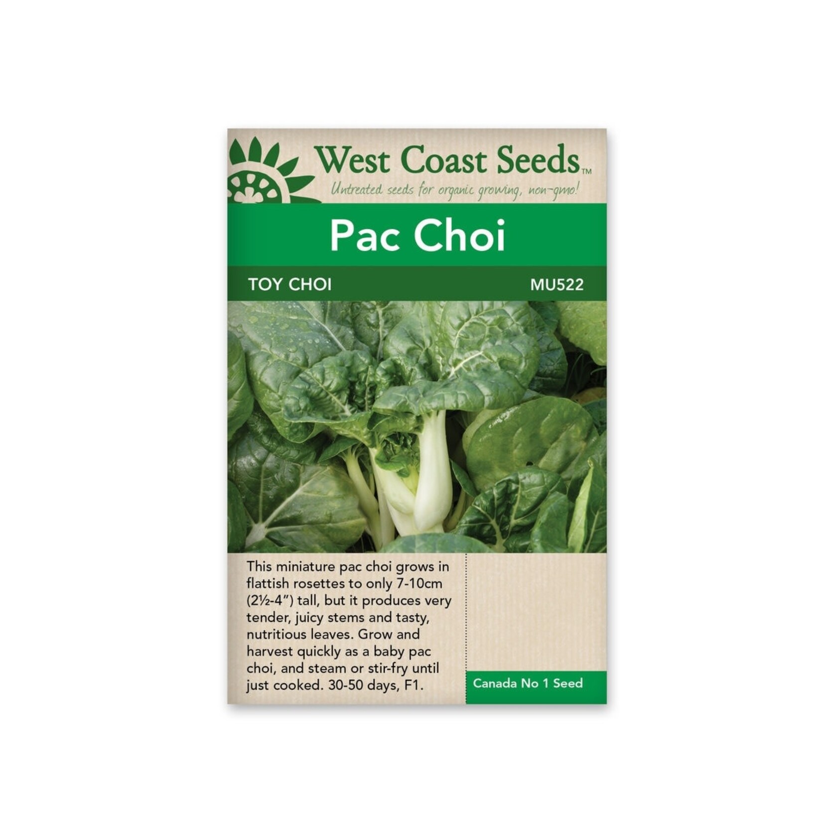 West Coast Seeds Pac Choi-Toy Choy F1