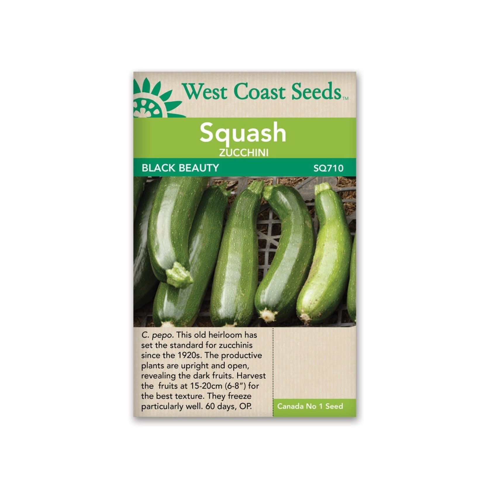 West Coast Seeds Squash-Summer - Black Beauty
