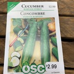 OSC Seeds Cucumber 'Burpless Hybrid' Seeds