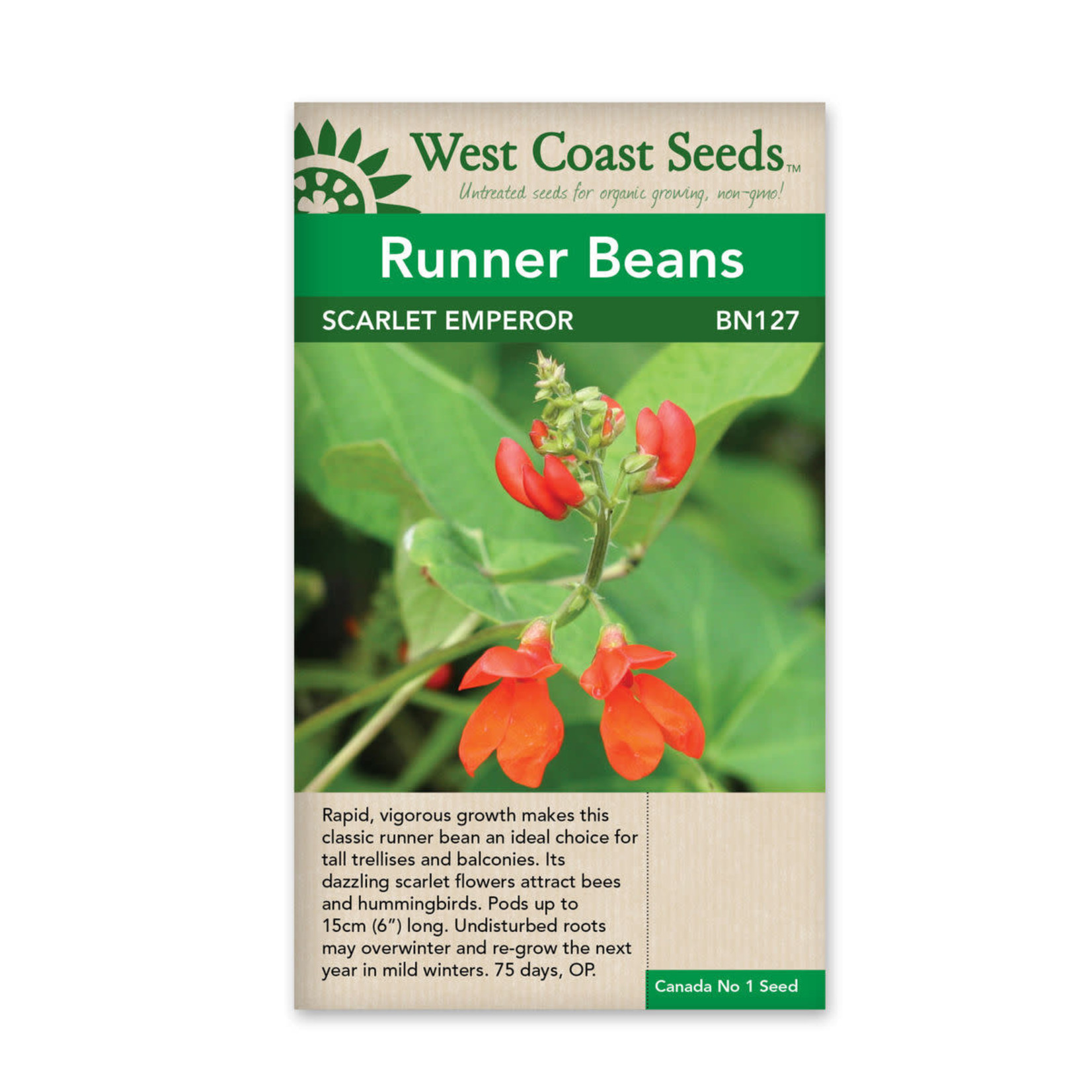 West Coast Seeds Beans-Scarlet Emperor Seeds