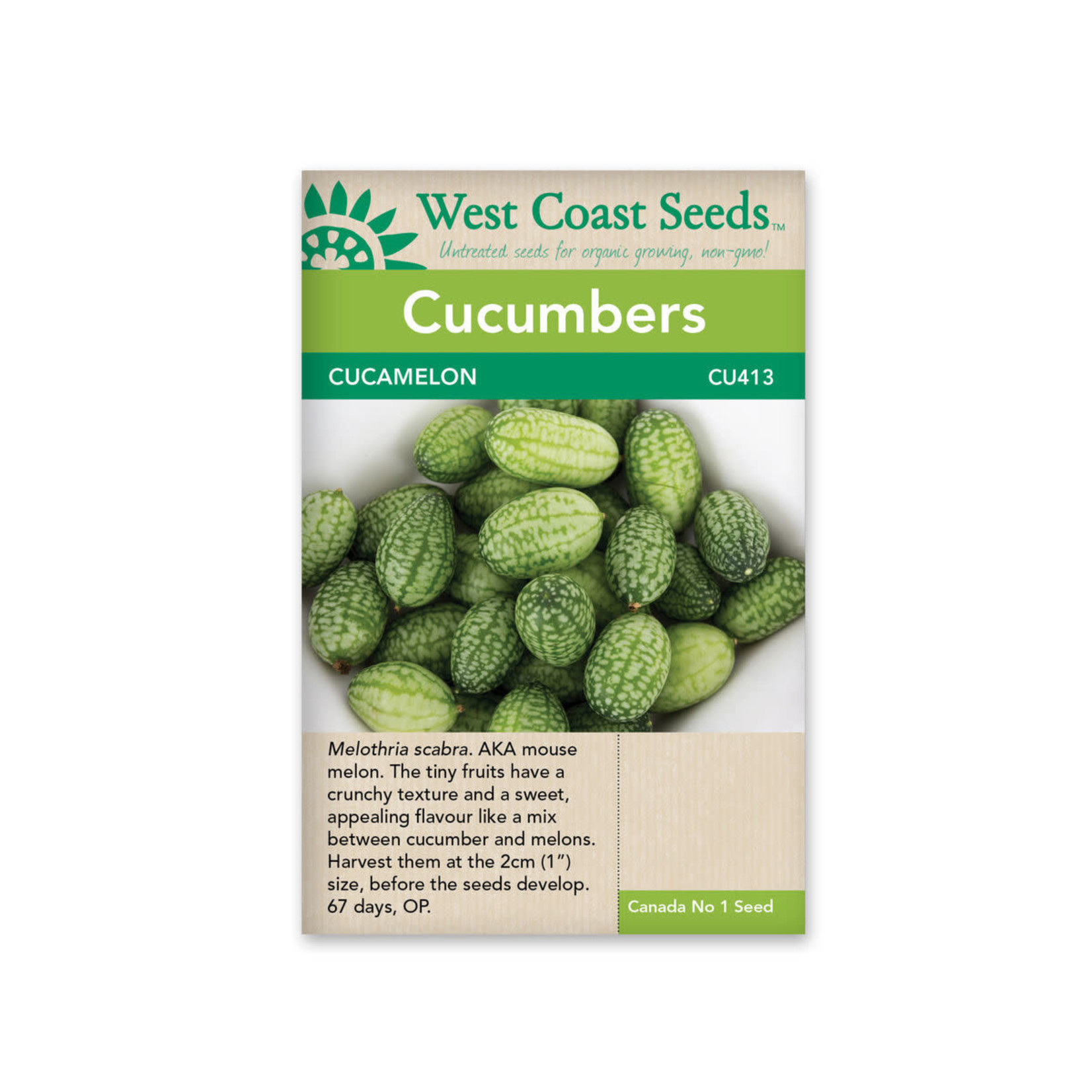 West Coast Seeds Cucumbers - Cucamelon