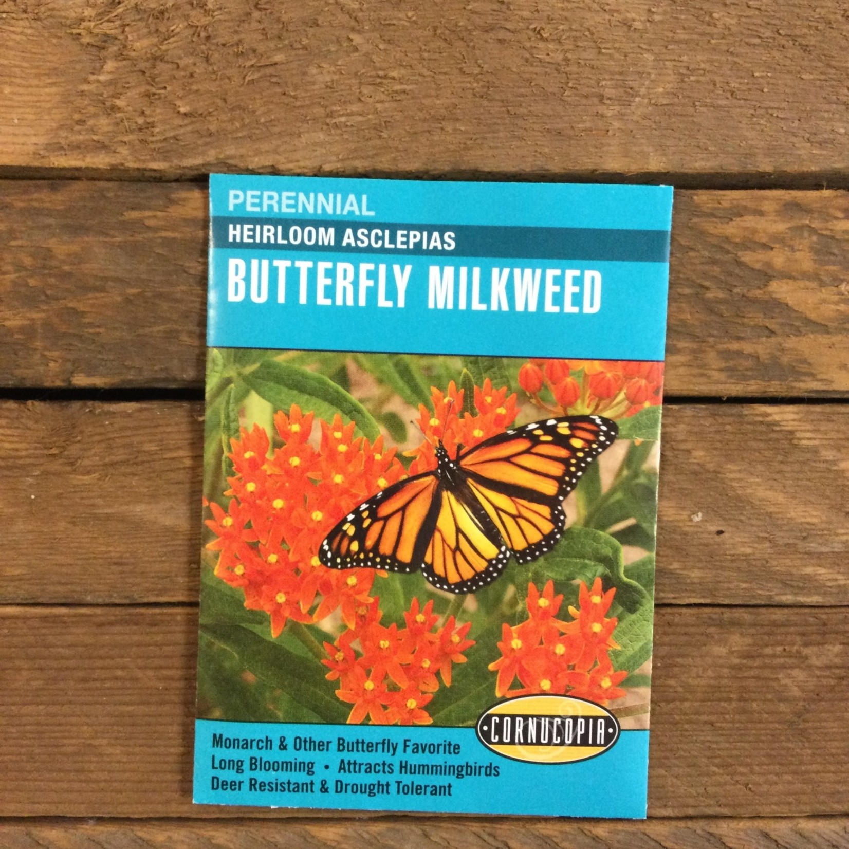 Cornucopia Asclepias (Butterfly Milkweed)