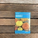 Cornucopia Marigold - Marigold Crackerjack Mixed Colors