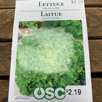 OSC Seeds Lettuce 'Salad Bowl' Seeds