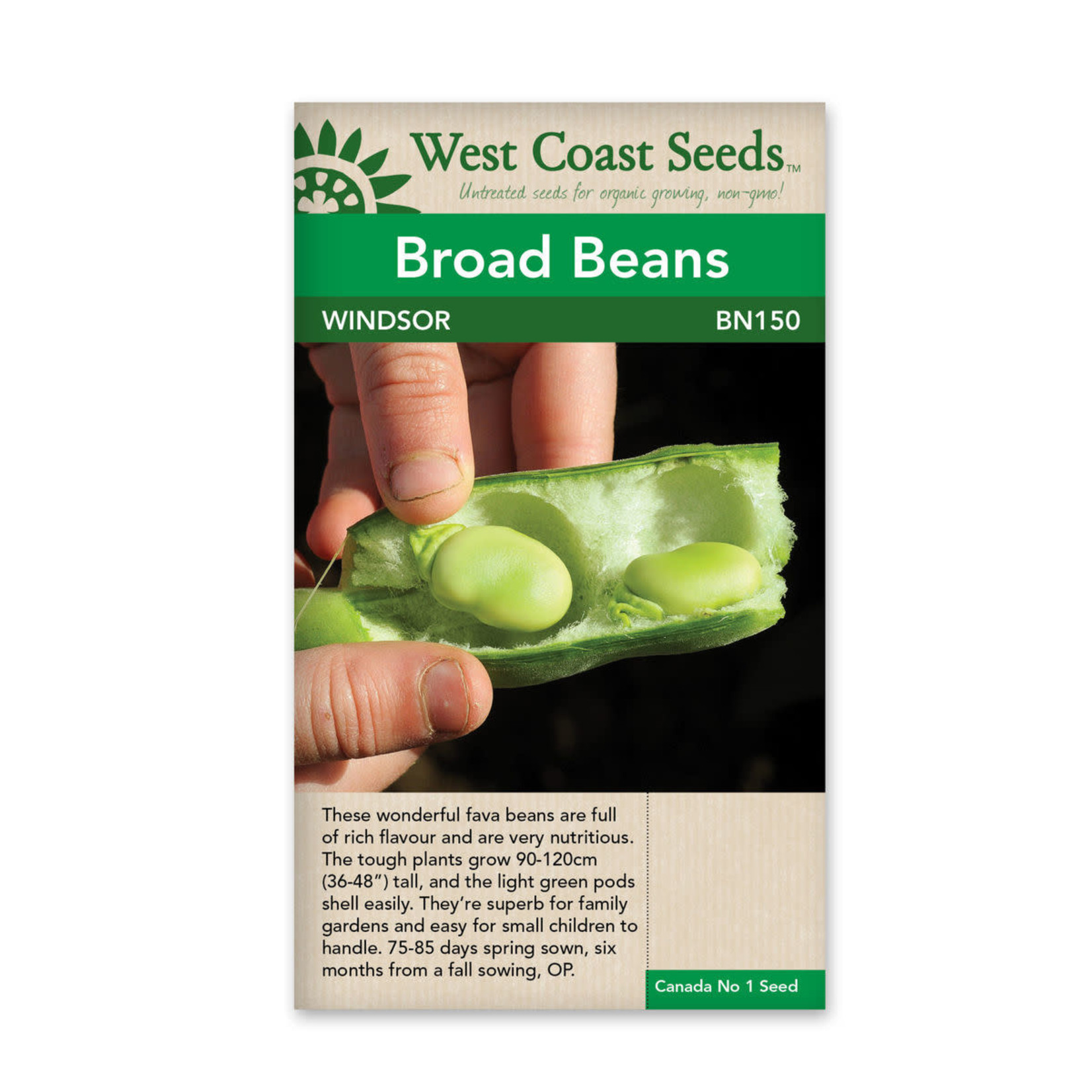 Westcoast Beans-Windsor