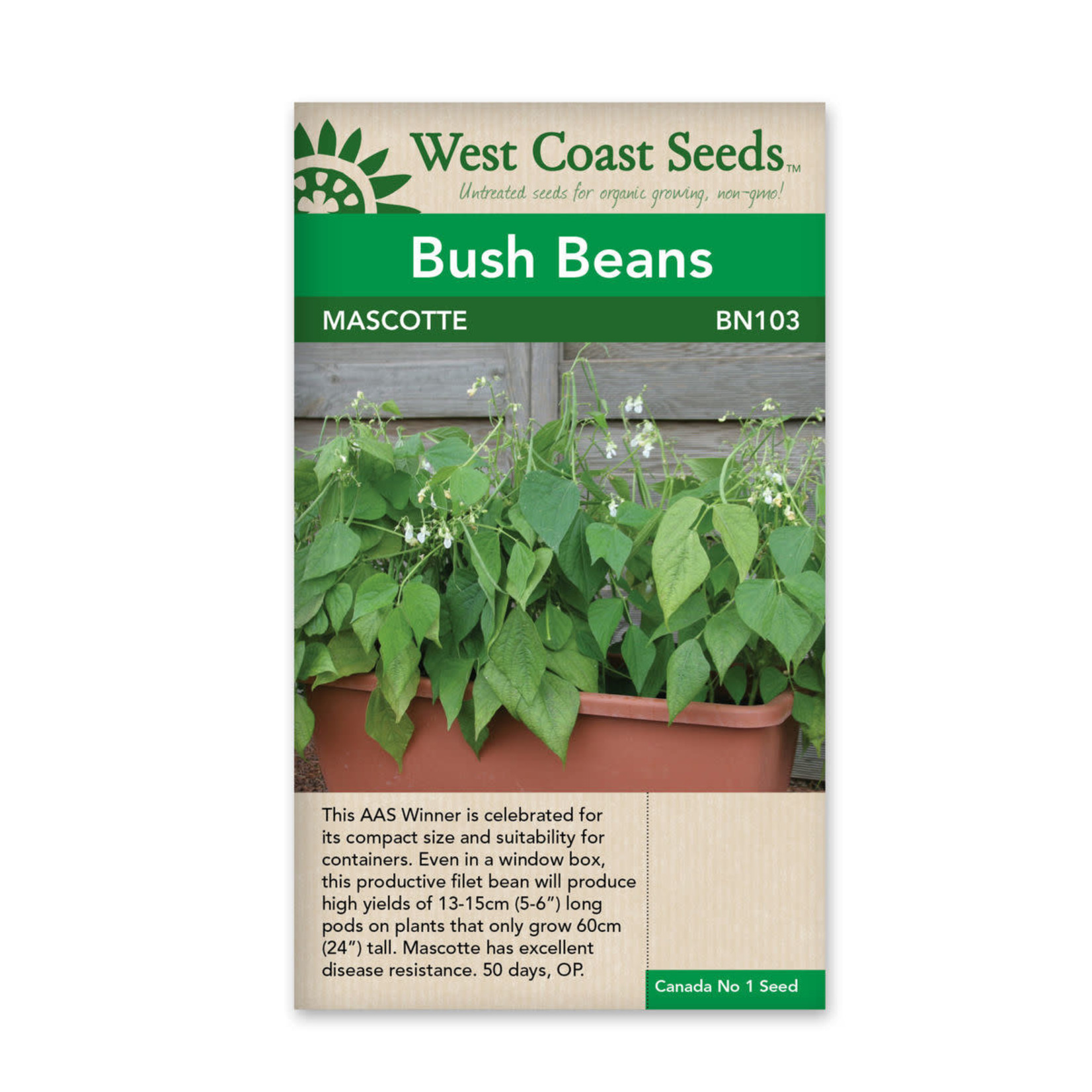 Westcoast Beans-Mascotte (50 Seeds)