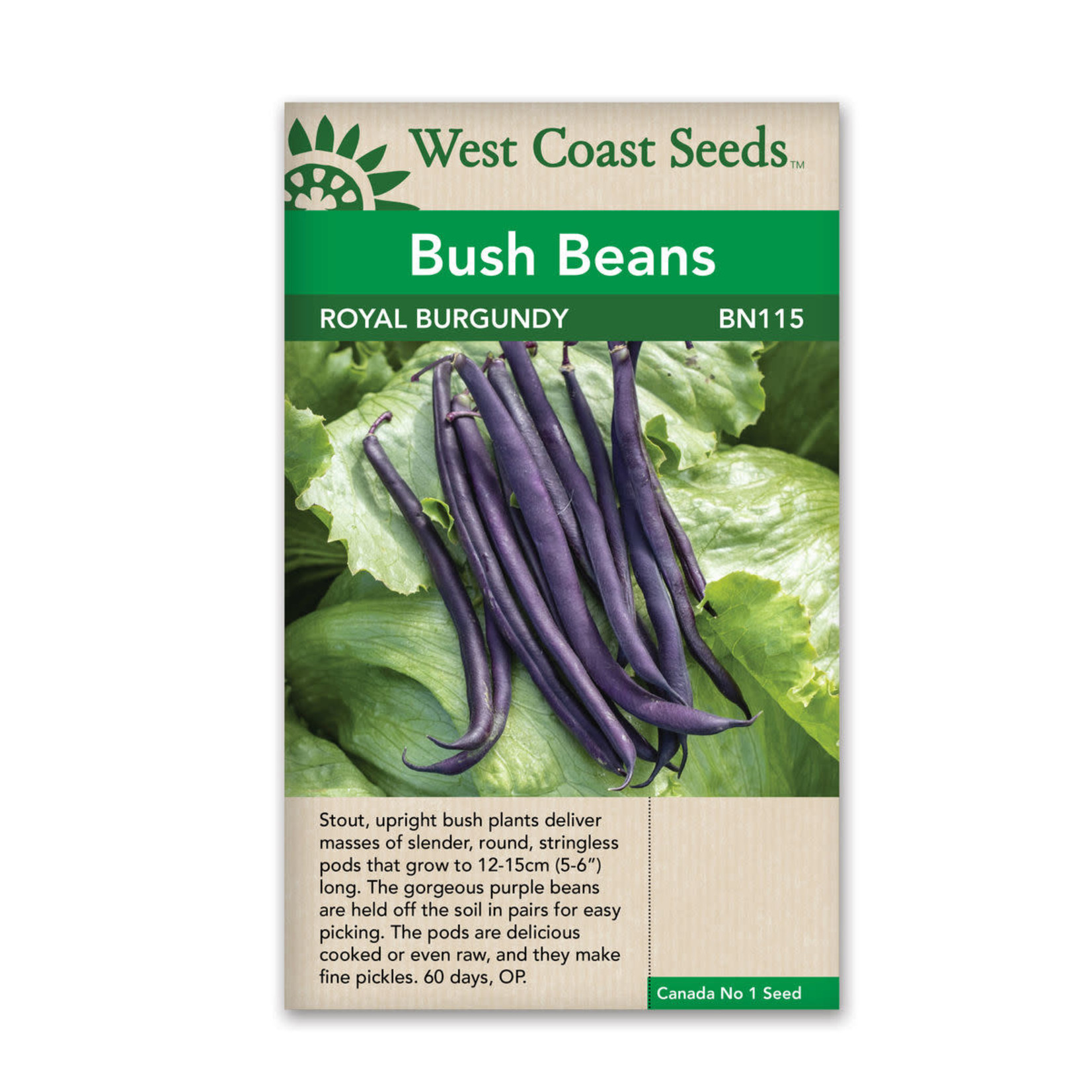 Westcoast Beans-royal Burgundry