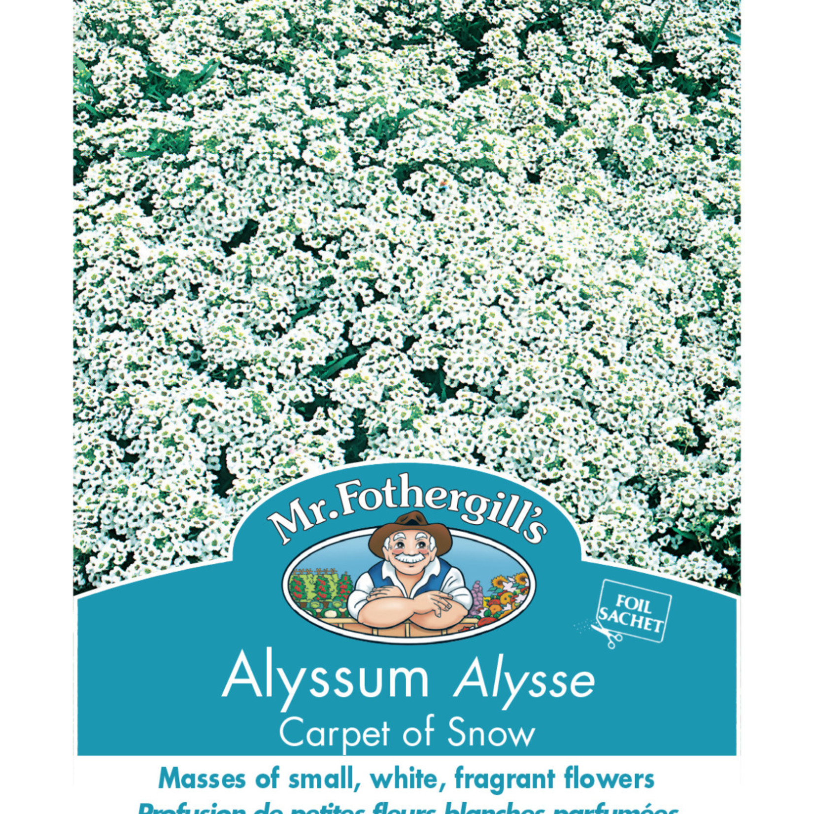 Mr. Fothergill's ALYSSUM Carpet of Snow Seeds