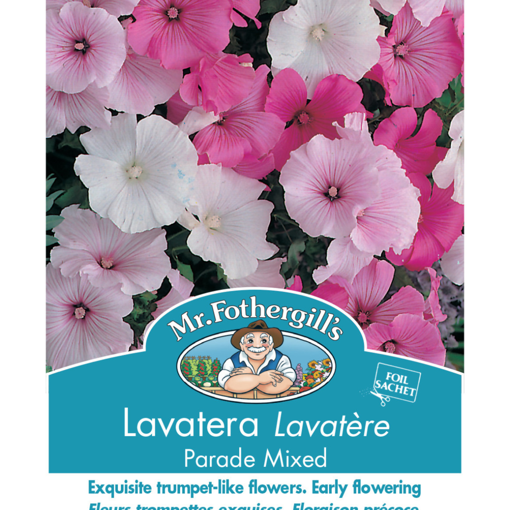 Mr. Fothergill's LAVATERA Parade Mixed