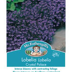 Mr. Fothergill's LOBELIA Crystal Palace