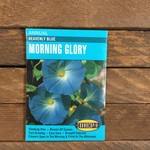 Cornucopia Morning Glory - Morning Glory Heavenly Blue