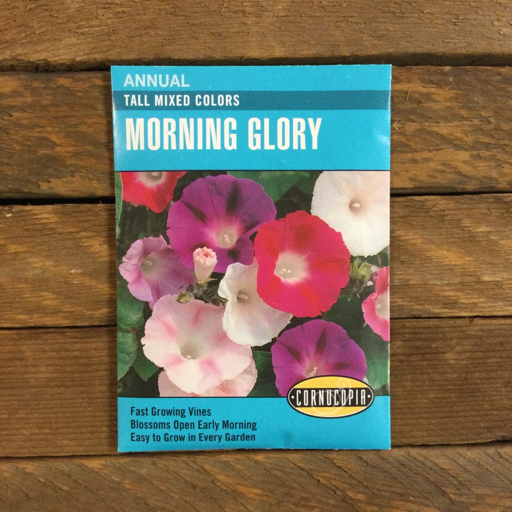 Cornucopia Morning Glory - Morning Glory Tall Mixed Colors