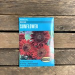 Cornucopia Sunflower Red Sun
