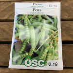 OSC Seeds Peas 'Green Arrow' Seeds