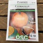 OSC Seeds Pumkin 'Small Sugar or Pie' Seeds