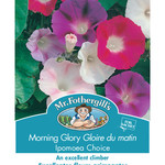 Mr. Fothergill's MORNING GLORY Ipomoea Choice