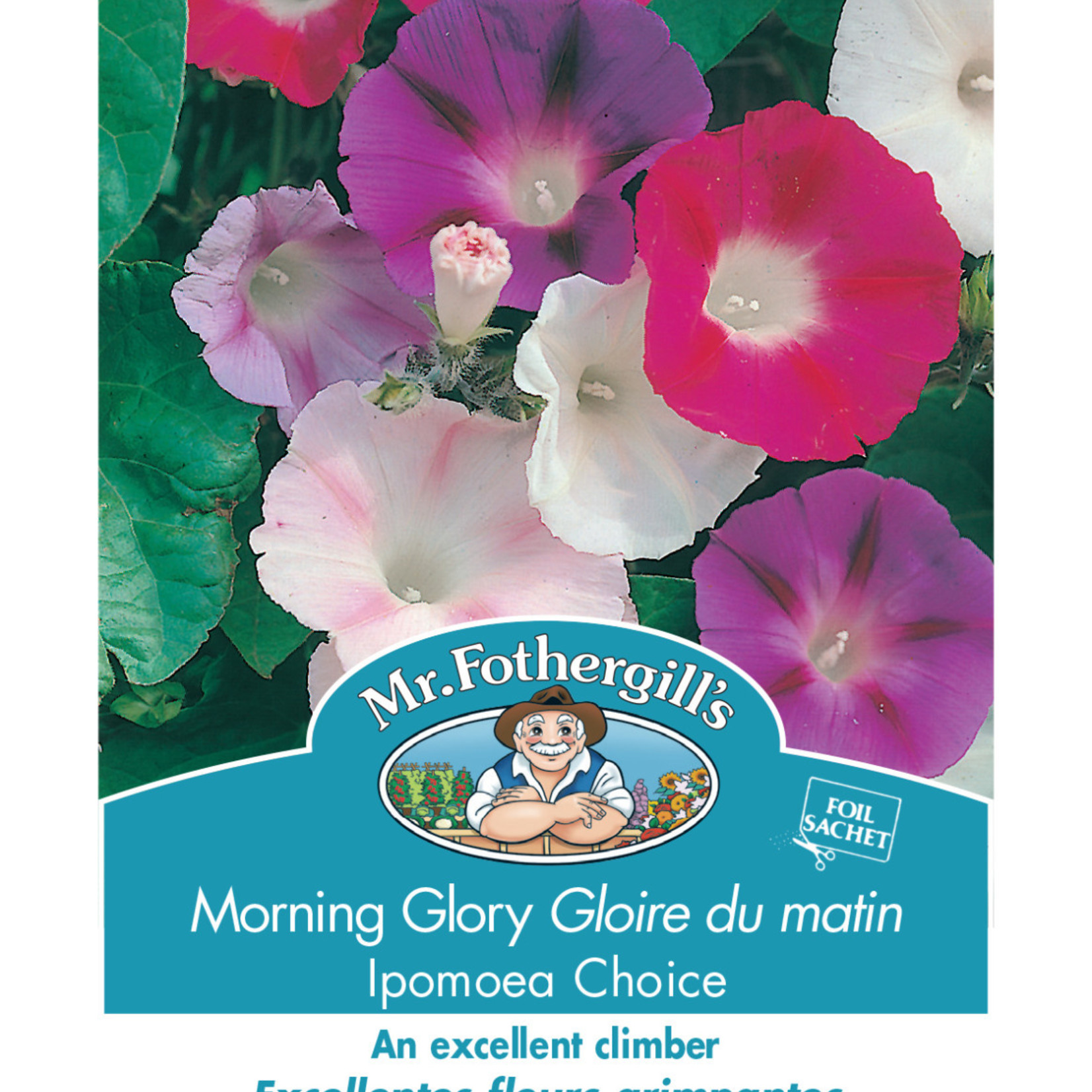 Mr. Fothergill's MORNING GLORY Ipomoea Choice