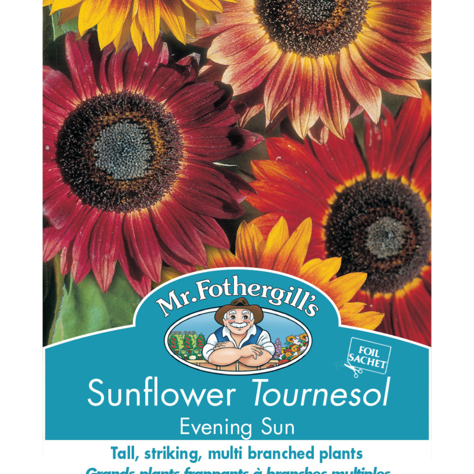 Mr. Fothergill's SUNFLOWER Evening Sun