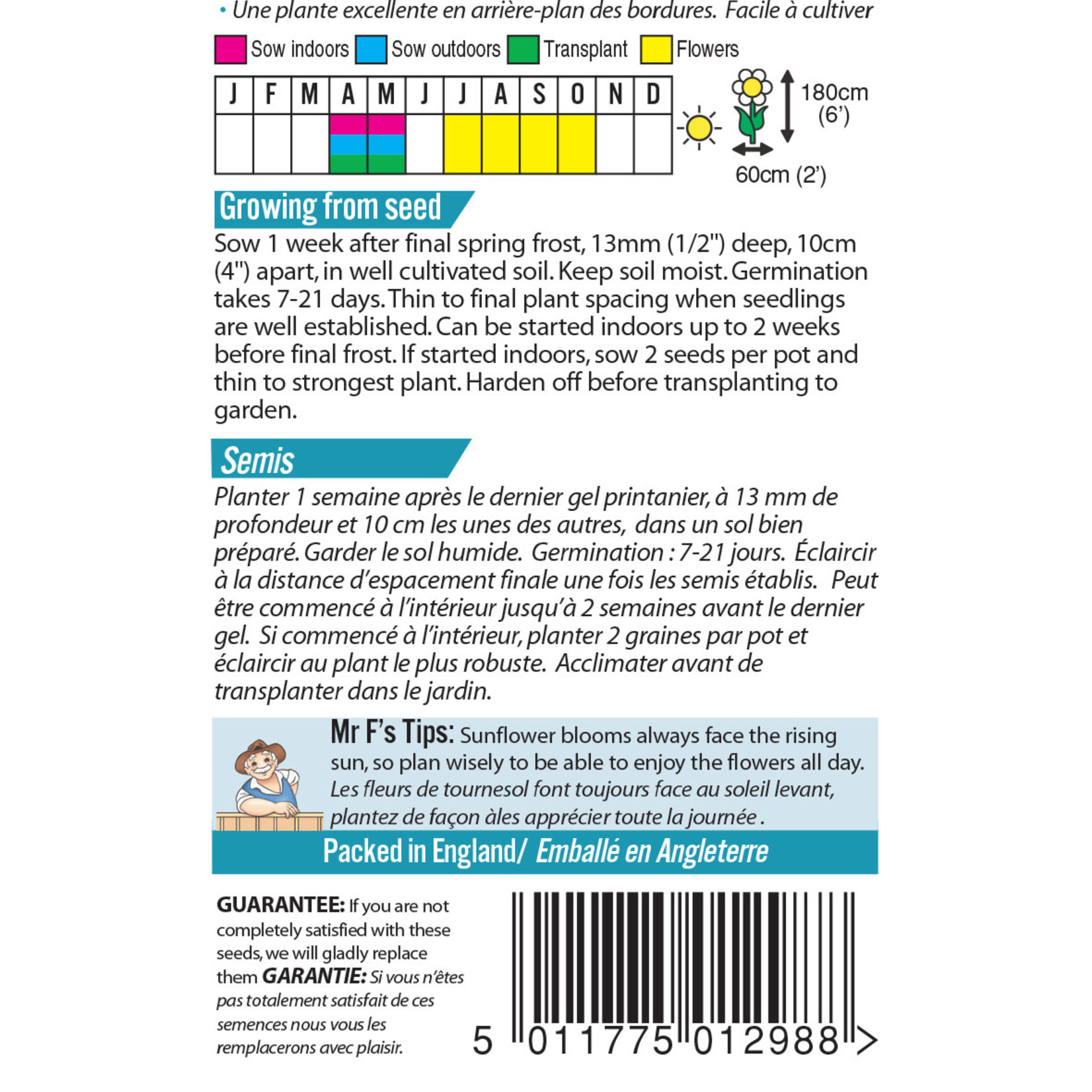 Mr. Fothergill's SUNFLOWER Evening Sun