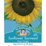 Mr. Fothergill's SUNFLOWER Giant Single