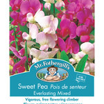 Mr. Fothergill's SWEET PEA Everlasting Mixed Seeds