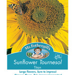 Mr. Fothergill's SUNFLOWER Titan
