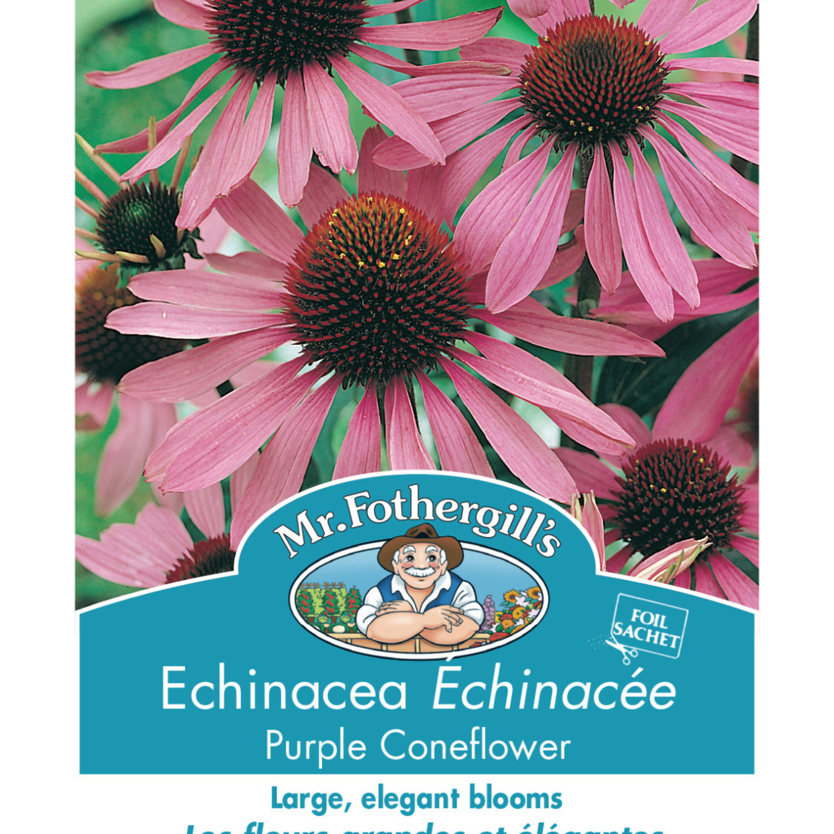 Mr. Fothergill's ECHINACEA Purple Coneflower