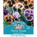 Mr. Fothergill's PANSY Super Chalon Seeds