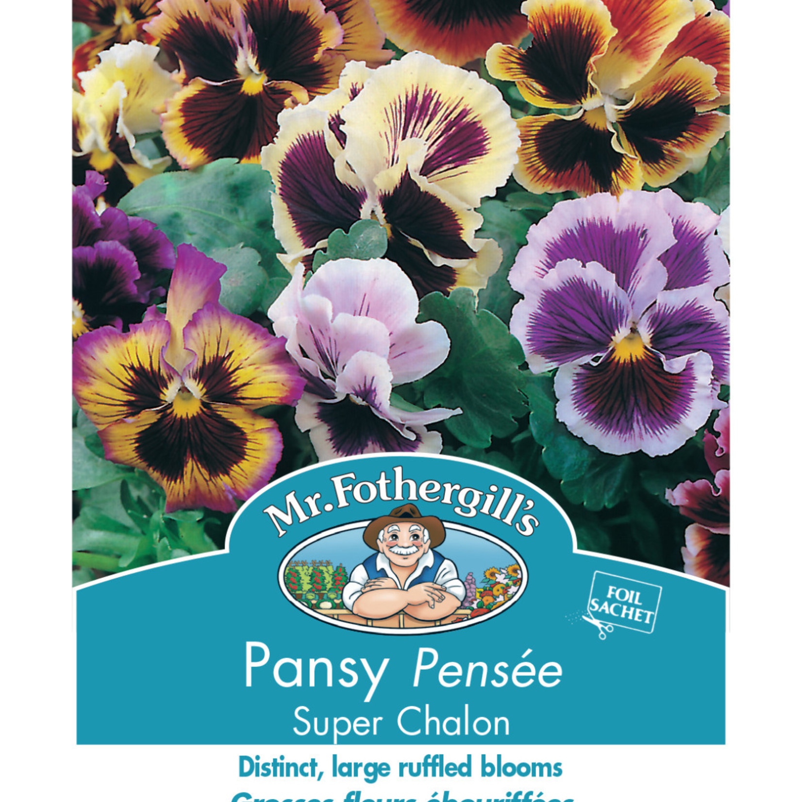 Mr. Fothergill's PANSY Super Chalon