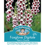 Mr. Fothergill's FOXGLOVE Pams Choice