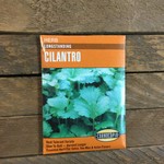 Cornucopia Cilantro - Cilantro Longstanding