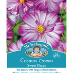 Mr. Fothergill's COSMOS Sweet Kisses