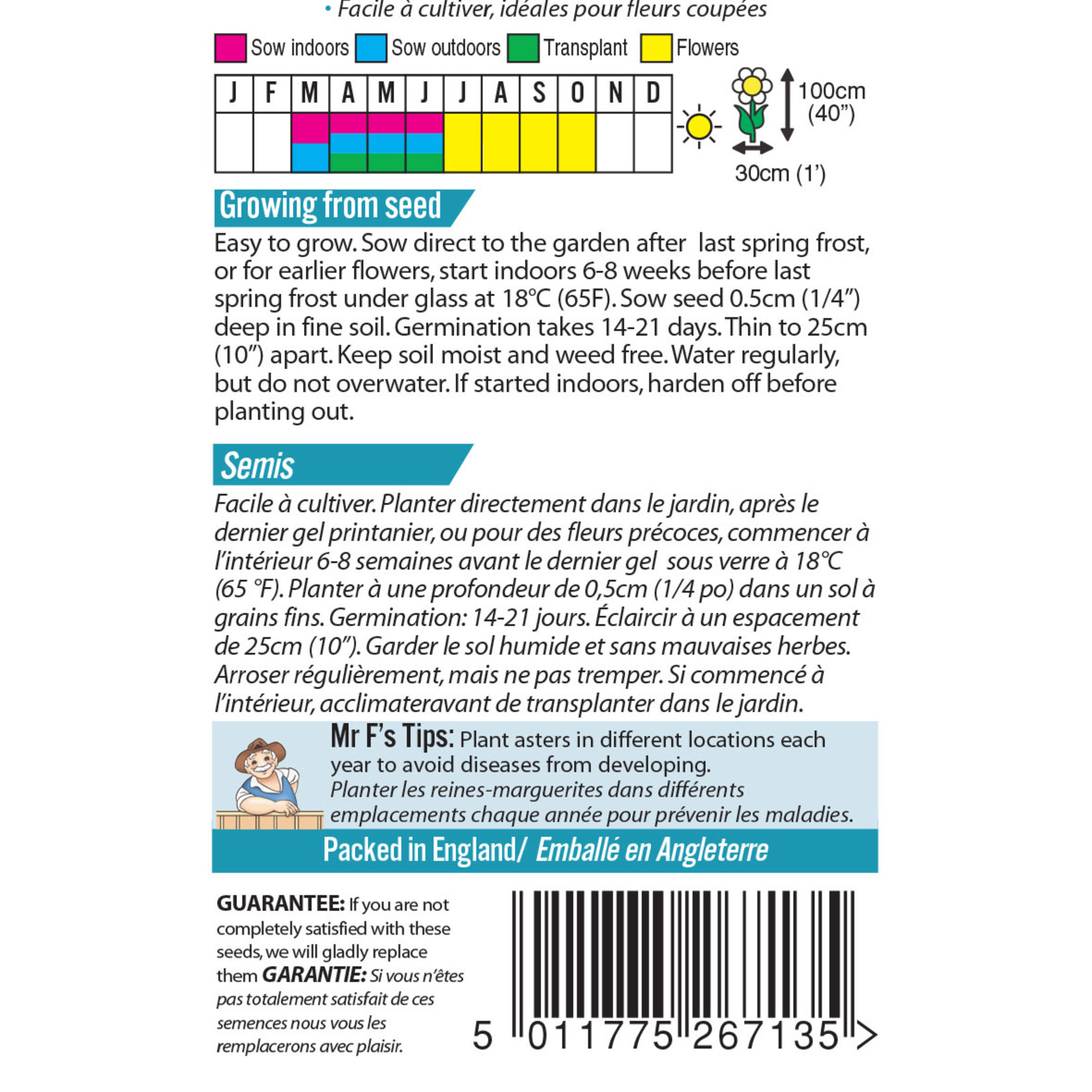 Mr. Fothergill's ASTER Kingsize Blossom