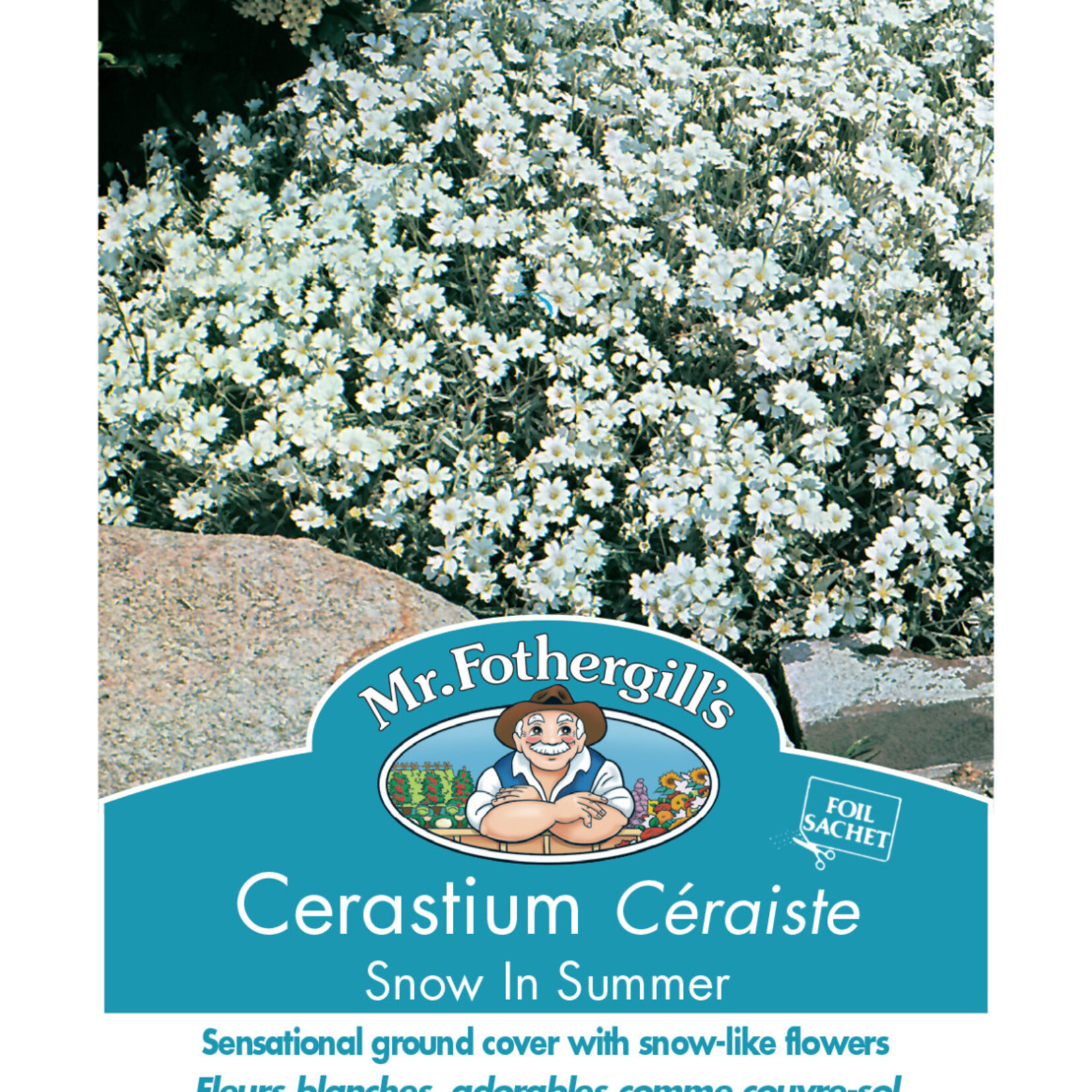 Mr. Fothergill's CERASTIUM Snow In Summer Seeds