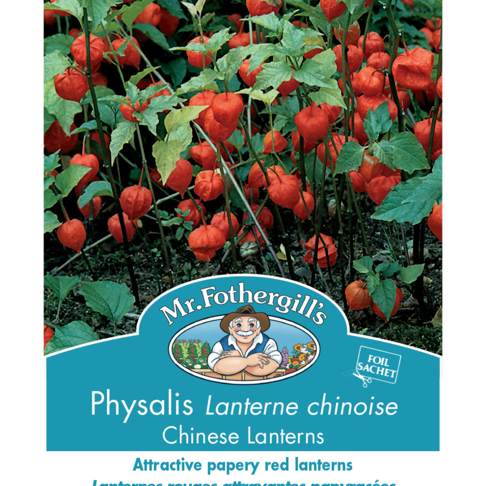Mr. Fothergill's CHINESE LANTERNS Physalis Seeds