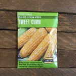 Cornucopia Corn - Corn Peaches & Cream Bicolor Hybrid