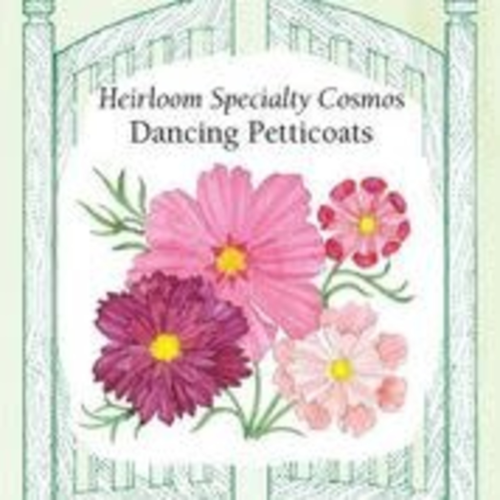 Renee's Cosmos - Dancing Petticoats Cosmos