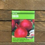 Cornucopia Onion - Onion Red Ruby