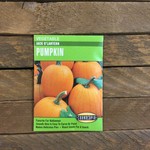 Cornucopia Pumpkin - Pumpkin Jack O'Lantern