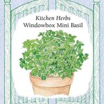 Renee's Basil - Mini Windowbox Basil