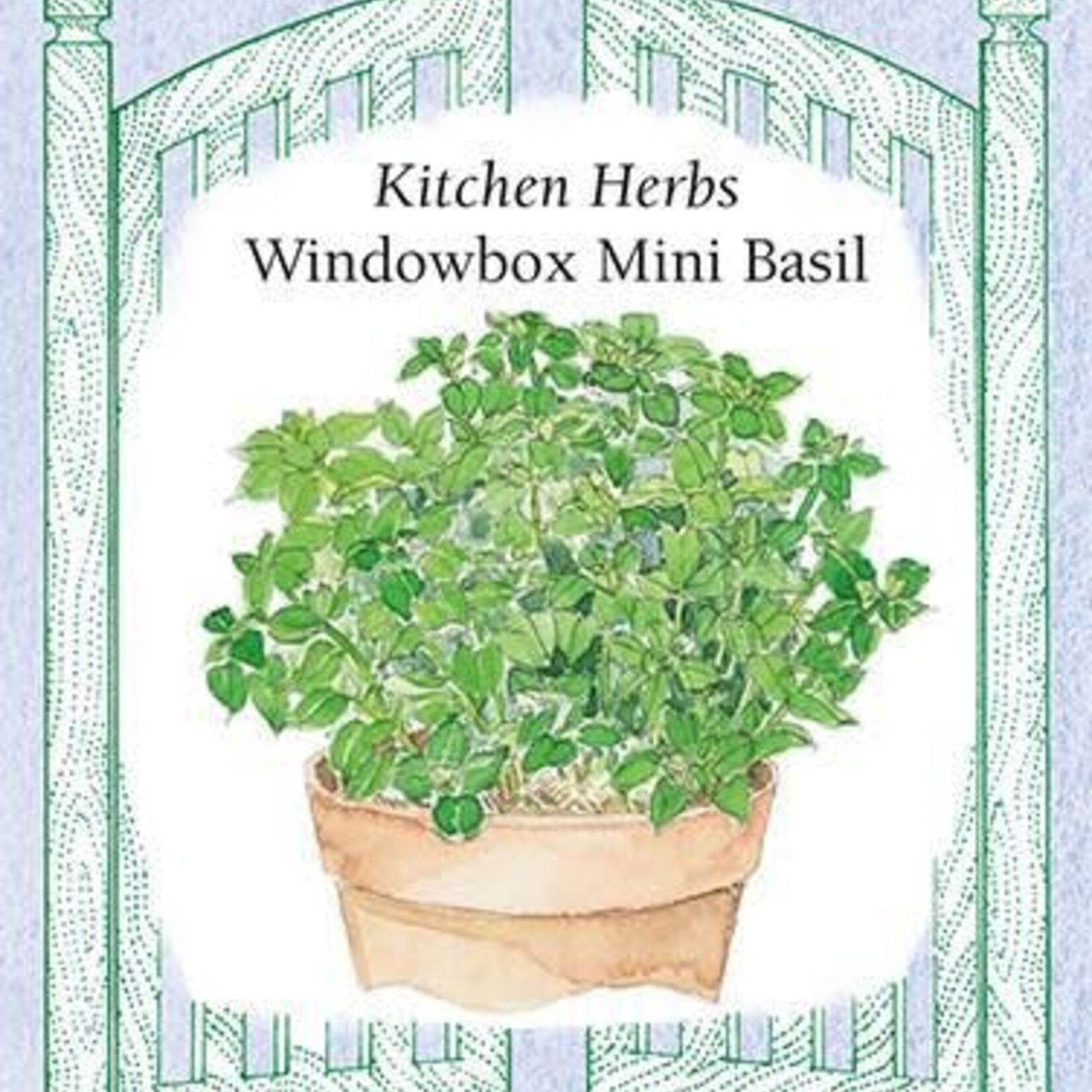 Renee's Basil - Mini Windowbox Basil