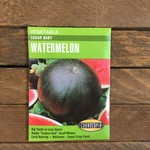 Cornucopia Watermelon - Watermelon Sugar Baby