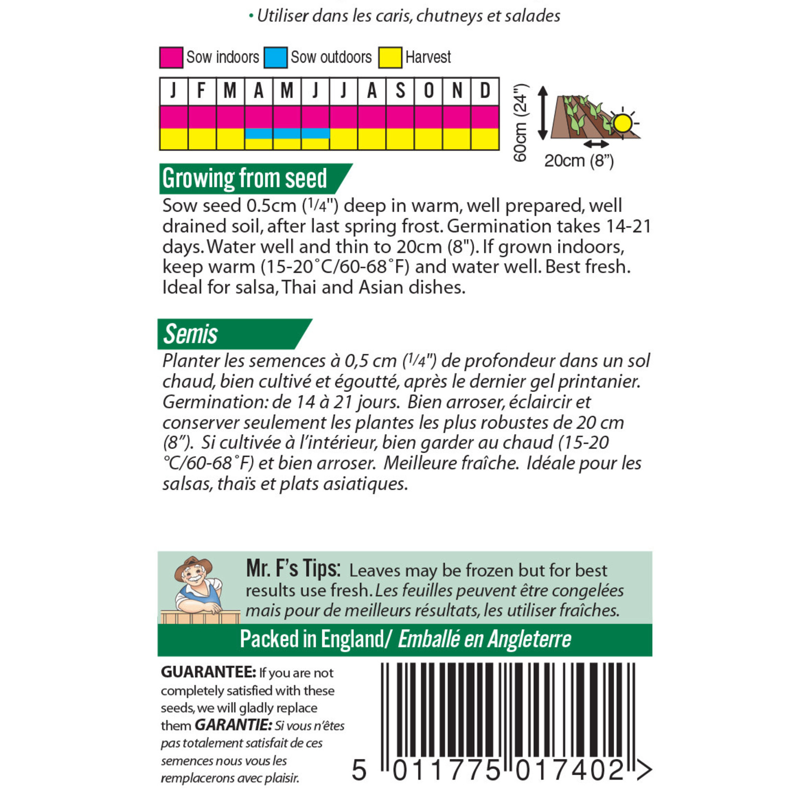 Mr. Fothergill's CORIANDER Cilantro