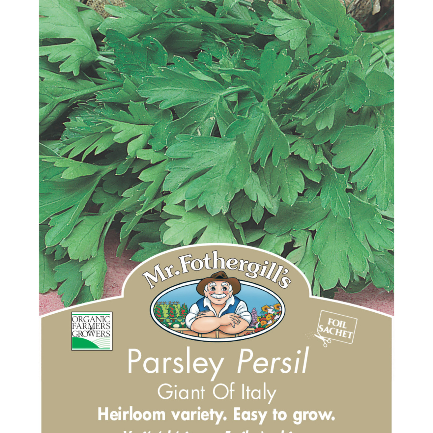 Mr. Fothergill's PARSLEY Giant of Italy - ORGANIC Seeds