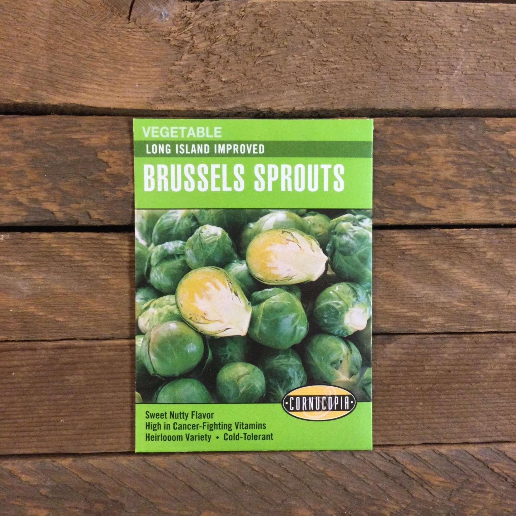 Cornucopia Brussels Sprout - Brussels Sprouts Long Island Improved