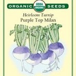 Renee's Turnip - Turnip Purple Top Milan Organic